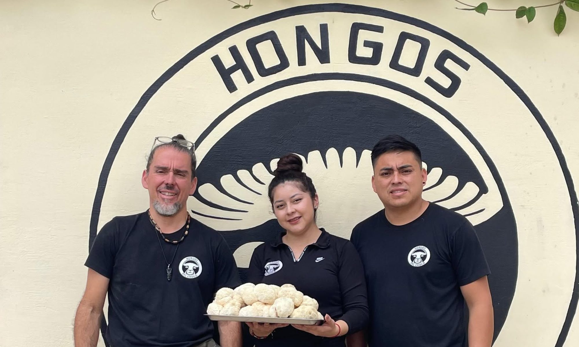 hongos del choco